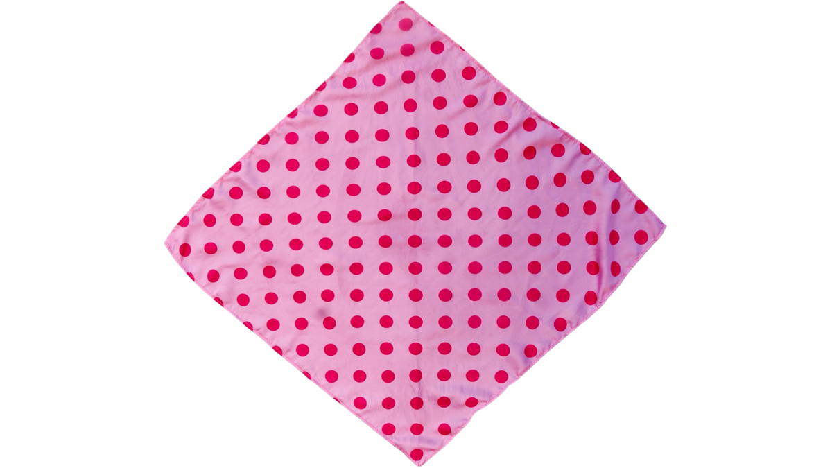 BFF Bandana for Human