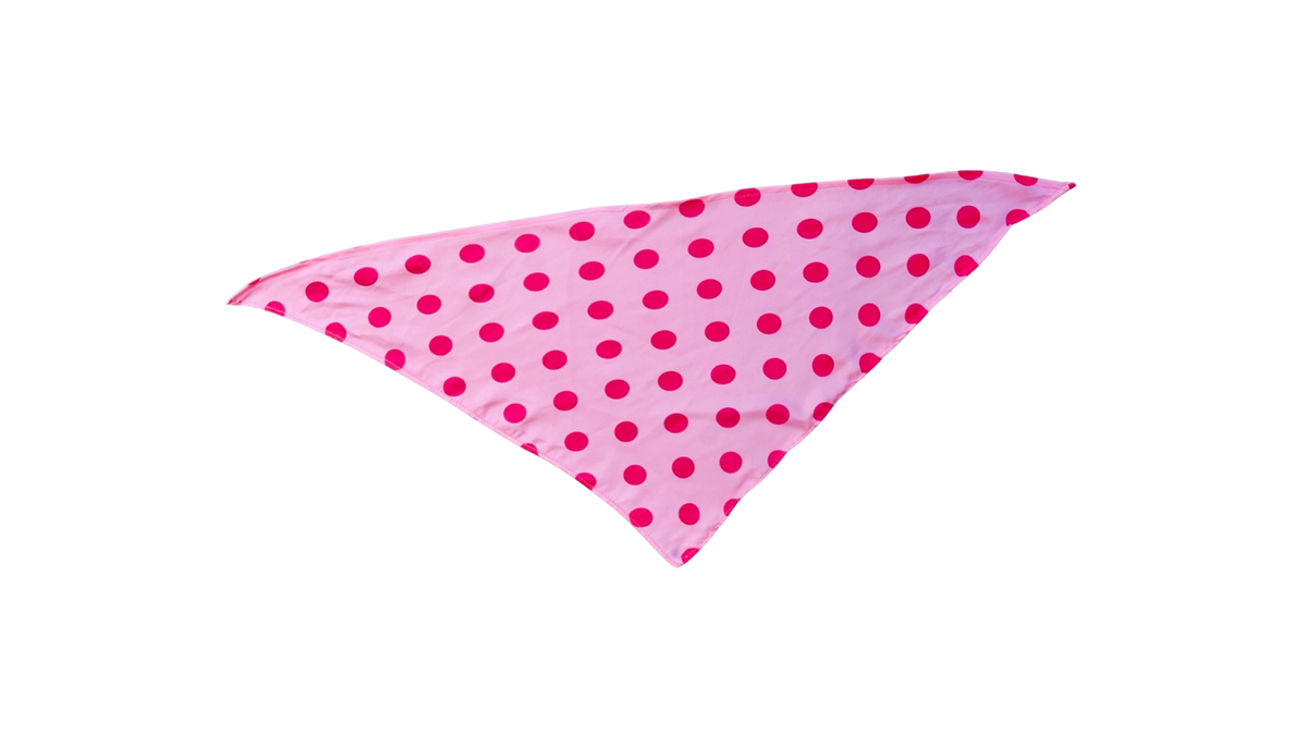 BFF Bandana for Dogs