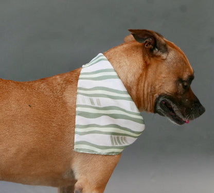 BFF Bandana for Dogs
