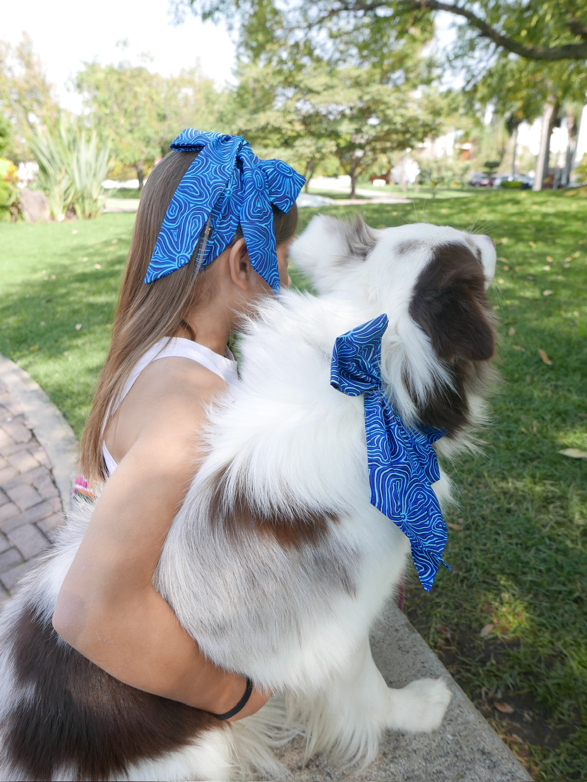 Moño para Mascotas